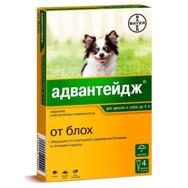 Адвантейдж 40 капли для собак до 4 кг от блох (4 пипетки х 0,4 мл)