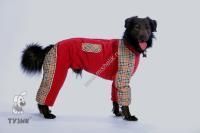 ТУЗИК ош 58 ог 97 от 80 дс 66 рост 67 комбинезон теплый для породы кане-корсо сука