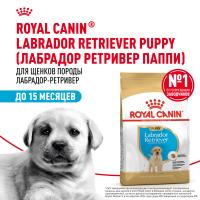 ROYAL CANIN LABRADOR RETRIEVER PUPPY 12 кг сухой корм для щенков породы Лабрадор до 15 месяцев