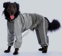 ТУЗИК ош 42 ог 80 от 69 дс 61 рост 61 комбинезон холодный для породы далматин сука