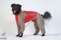 ТУЗИК ош 46 ог 73 от 61 дс 51 рост 57 комбинезон холодный для породы керри-блю-терьер сука