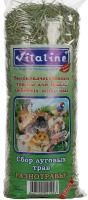 ВИТАЛАЙН 400 г сено для грызунов и птиц сбор луговых трав разнотравье