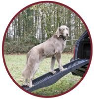 NOBBY 40 см х 152 см пандус автомобильный для собак пластик черный