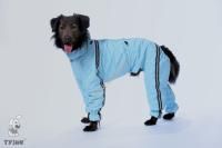 ТУЗИК ош 54 ог 87 от 74 дс 61 рост 59 комбинезон спортивный на флисе для породы лабрадор-ретривер сука