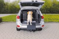 Защитная накидка для а/м бампера, 50 x 70 см, чёрный