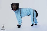 ТУЗИК ош 55 ог 81 от 71 дс 54 рост 54 комбинезон спортивный на флисе для породы стаффордширский терьер сука