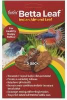 CARIBSEA Листья индийского миндаля JUNGLE LEAF 3шт/упк