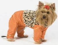 ТУЗИК ош 29 ог 39 от 34 дс 31 рост 27 комбинезон теплый с мехом зима - 1 для породы йоркширский терьер № 2 кобель