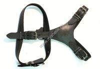 ЗООМАСТЕР 2,5 см шлейка №2