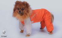 ТУЗИК Комбинезон Пудель карликовый теплый на шелке, кобель