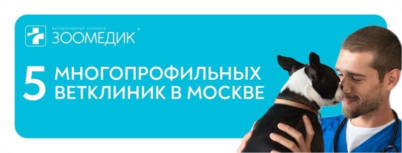 5 ветклиник