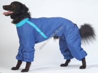 ТУЗИК ош 50 ог 68 от 57 дс 40 рост 40 комбинезон синтепоновый для породы французкий бульдог кобель