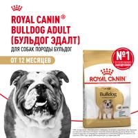 ROYAL CANIN BULLDOG ADULT 12 кг сухой корм для Английских бульдогов старше 12 месяцев