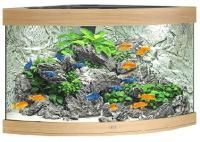 JUWEL TRIGON-350 350 л аквариум бук