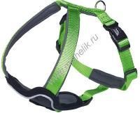 NOBBY CLASSIC PRENO COMFORT грудь 60-75 см ширина 30 мм шлейка для собак нейлон зеленая серая 