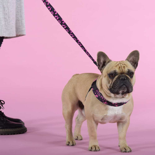 Шлейка United Pets для собак Complete me Identity 2,5 x 40-54 см, черная с розовым