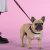 Шлейка United Pets для собак Complete me Identity 2,5 x 40-54 см, черная с розовым