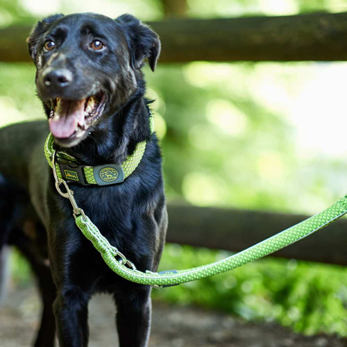 Hunter поводок-перестежка для собак Hilo 15 / 200 нейлон лайм