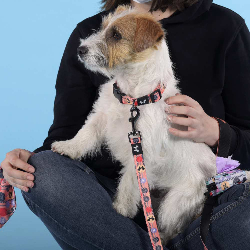 Ошейник United Pets для собак Complete me Forever M 34-56/2 см, оранжевый с рисунком