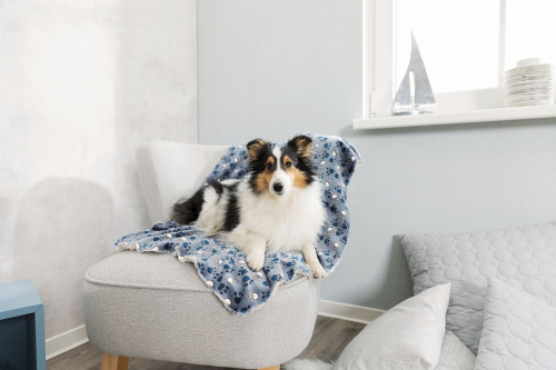 Подстилка-плед Taммy, 100 × 70 cм, синий/бежевый