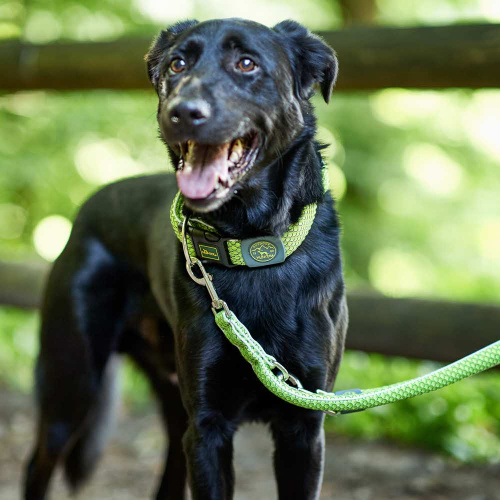 Hunter поводок-перестежка для собак Hilo 20 / 200 нейлон лайм