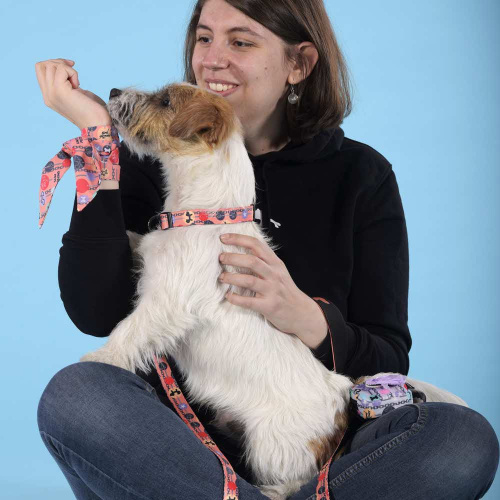 Ошейник United Pets для собак Complete me Forever M 34-56/2 см, оранжевый с рисунком