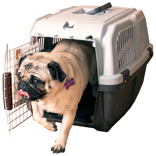 MPS переноска SKUDO 3  60х40h см с металлической дверцей с замком серая