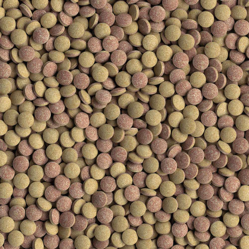 TetraTabletsTabiMin корм для всех видов донных рыб 120 таб.