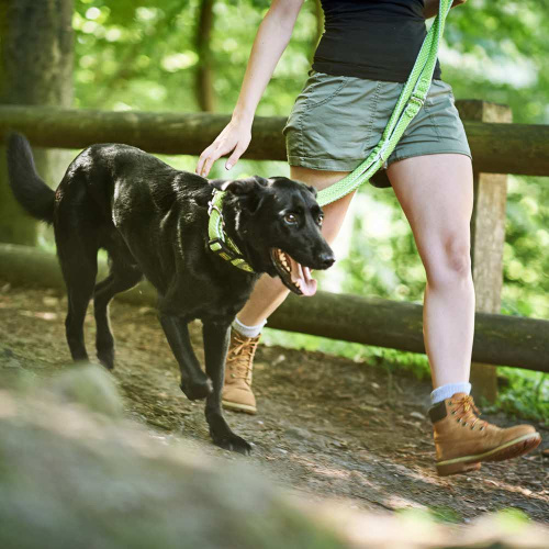 Hunter поводок-перестежка для собак Hilo 15 / 200 нейлон лайм