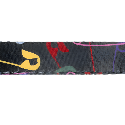 Поводок United Pets для собак Complete me 16 x 1400 mm, черный с разноцветными булавками