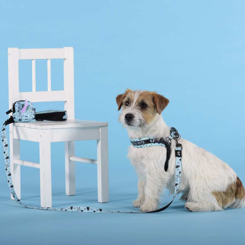 Поводок United Pets для собак Complete me Writing 140 см, 20 мм, голубой с рисунком