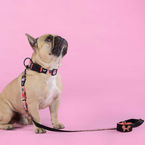 Поводок United Pets для собак Complete me Forever 140 см, 20 мм, оранжевый с рисунком