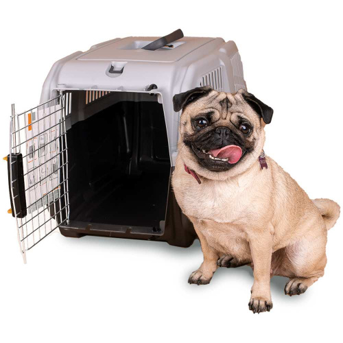 MPS переноска SKUDO 3  60х40h см с металлической дверцей с замком серая