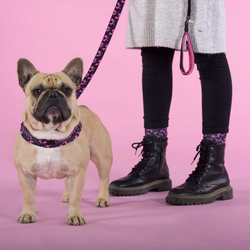 Шлейка United Pets для собак Complete me Identity 2,5 x 40-54 см, черная с розовым