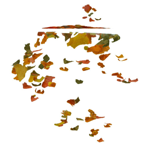 TetraRubin корм в хлопьях для улучшения окраса всех видов рыб 12 г (sachet)