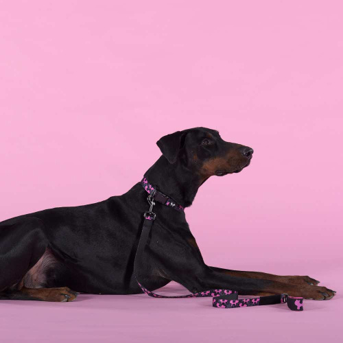 Ошейник United Pets для собак Complete me Identity M 34-56/2 см, черный с розовым