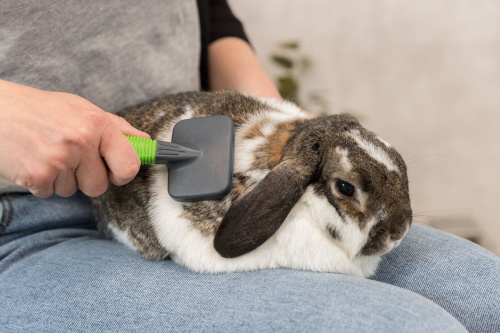 Щетка-пуходерка с расчёской 14х7 см для грызунов