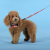 Шлейка United Pets для собак Complete me Forever 1,5 x 34-42 см, оранжевая с рисунком Шлейка United Pets для собак Complete me Forever 1,5 x 34-42 см, оранжевая с рисунком