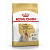 ROYAL CANIN YORKSHIRE TERRIER ADULT 3 кг сухой корм для собак породы Йоркширский терьер в возрасте от 10 месяцев 