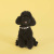Ошейник United Pets для собак Complete me M 34-56/2 см, разноцветный рисунок