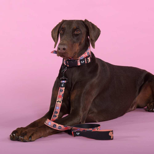 Поводок United Pets для собак Complete me Forever 140 см, 20 мм, оранжевый с рисунком