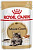 ROYAL CANIN MAINE COON ADULT 85 г пауч влажный корм кусочки в соусе для кошек породы Мейн-кун старше 15 месяцев 