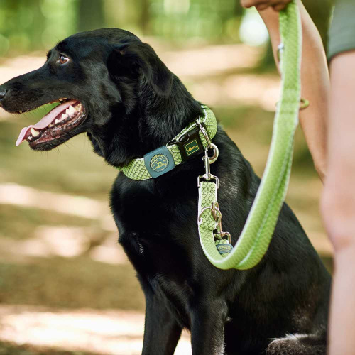 Hunter поводок-перестежка для собак Hilo 20 / 200 нейлон лайм