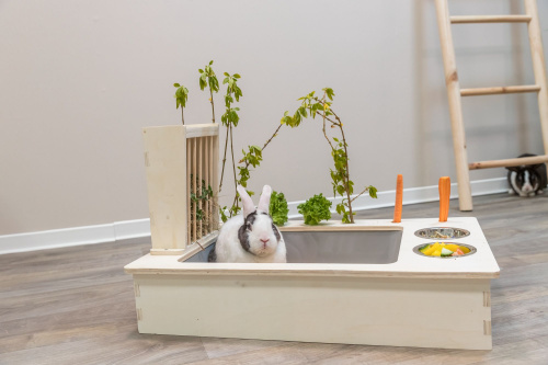 Кормушка для сена/овощей/основного корма, для грызунов, 70х41х47см,