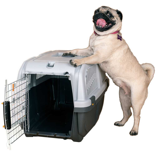 MPS переноска SKUDO 3  60х40h см с металлической дверцей с замком серая