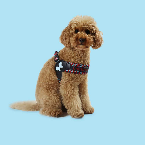 Шлейка United Pets для собак Complete me L 51 x 44-58 см, красная зебра
