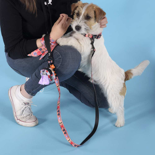 Поводок United Pets для собак Complete me Forever 140 см, 16 мм, оранжевый с рисунком