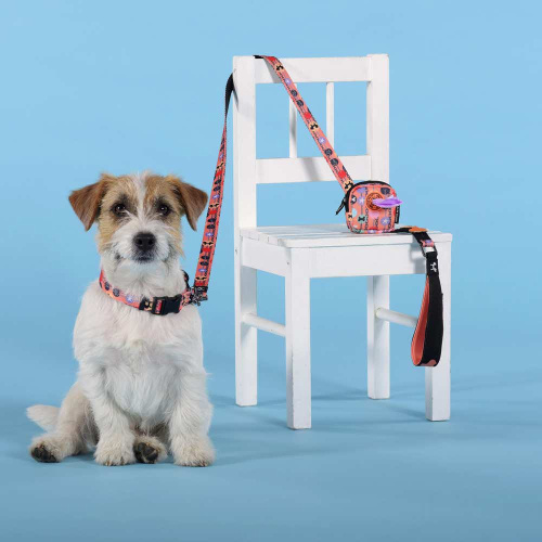 Поводок United Pets для собак Complete me Forever 120 см, 25 мм, оранжевый с рисунком