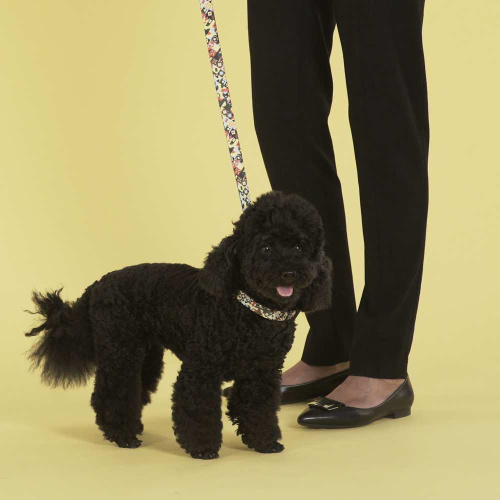 Поводок United Pets для собак Complete me 140 см, 20 мм, разноцветный рисунок